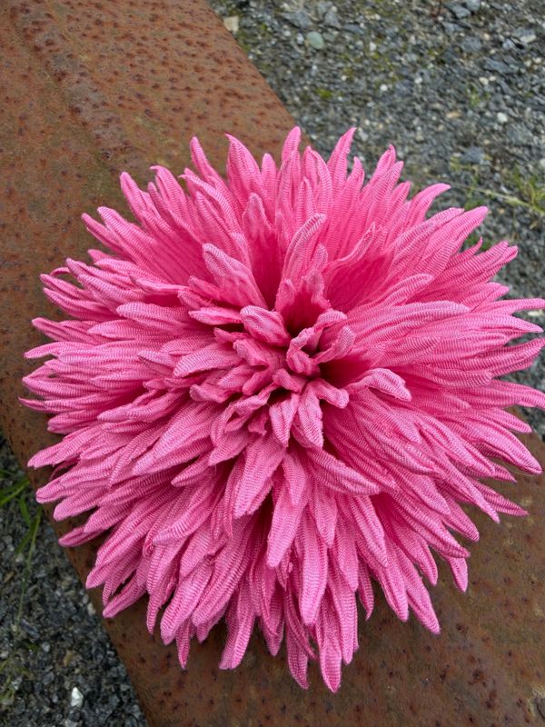 Blomst rosa 